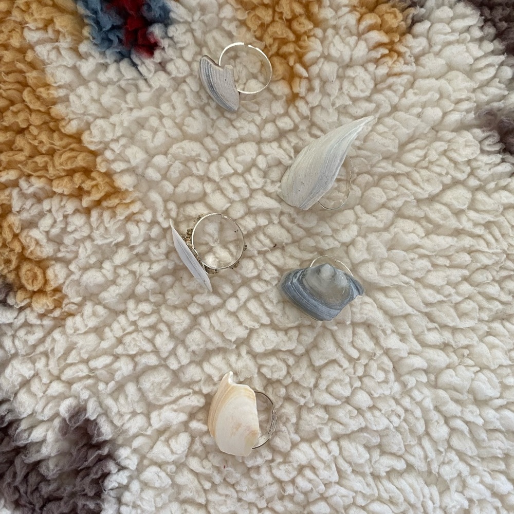 Seashell 🐚 Rings - Picture 3 of 3